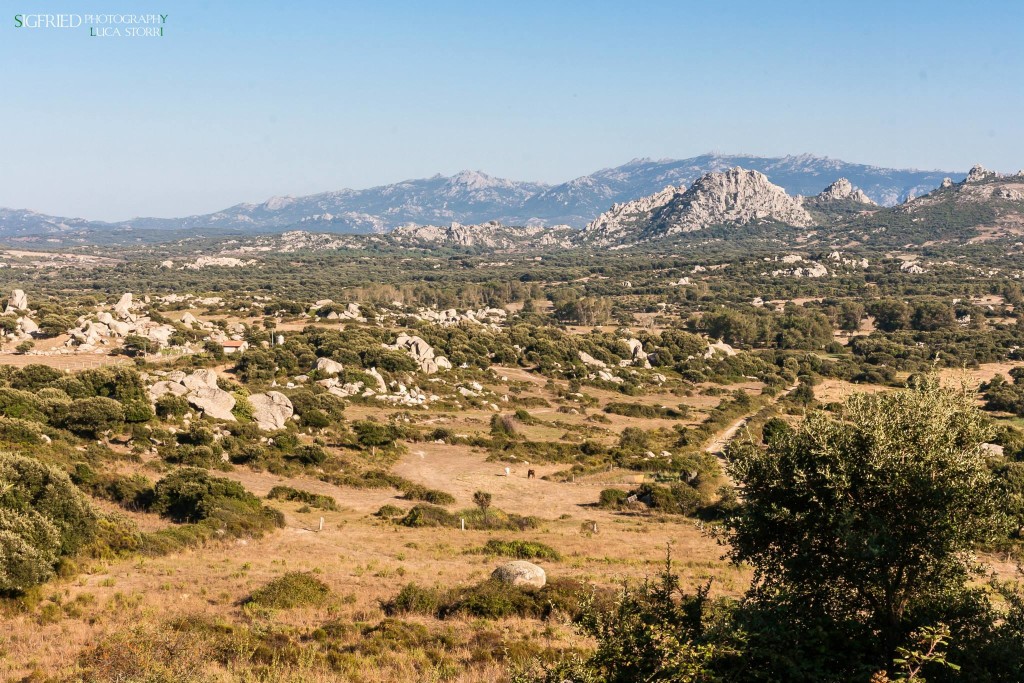 arida sardegna