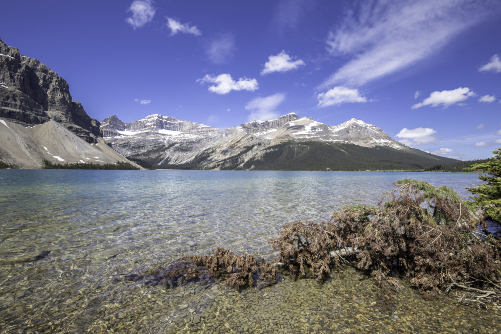 Bow Lake