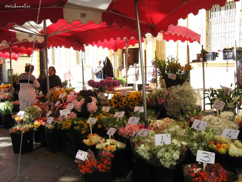 mercato-fiori