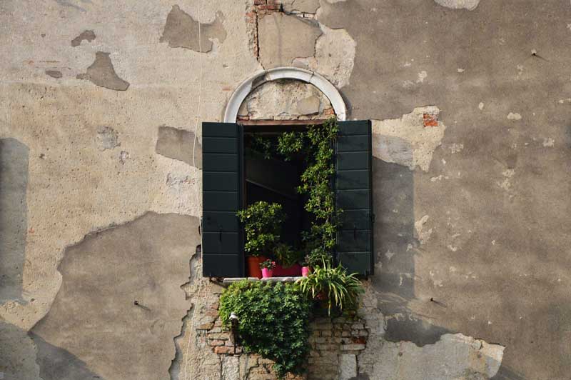 Un piccolo angolo di paradiso