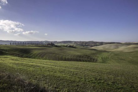 Colline della Val d'Orcia