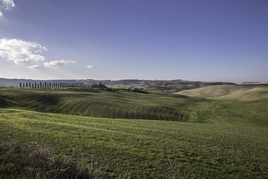 Colline della Val d'Orcia