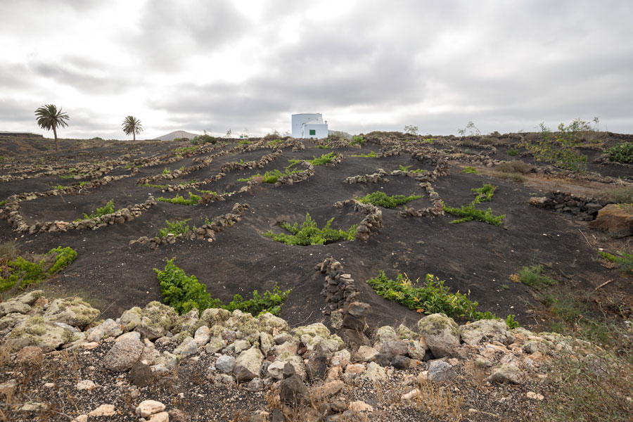 tour organizzati lanzarote