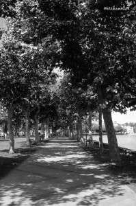 Viale alberato sul lungolago a Marta