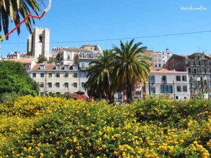 La cattedrale tra il giallo dei fiori