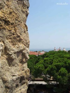 Panorama dal Castello