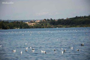 Lago Bolsena